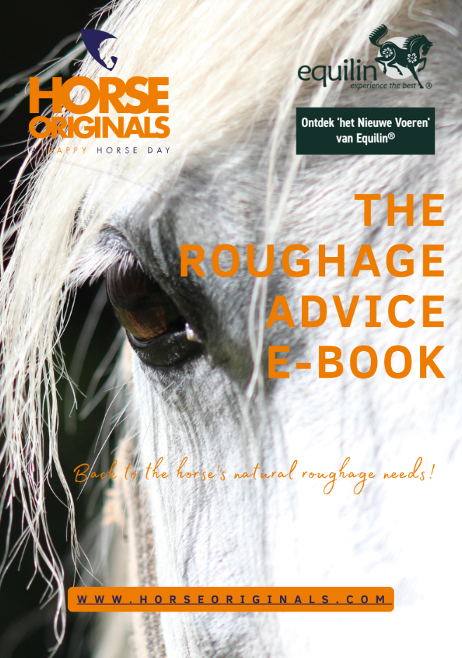 Schermafbeelding 2023-02-23 140120