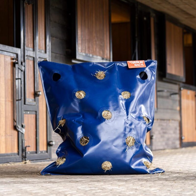 Horse Originals - DaKo Fotografie (Webformaat) 04